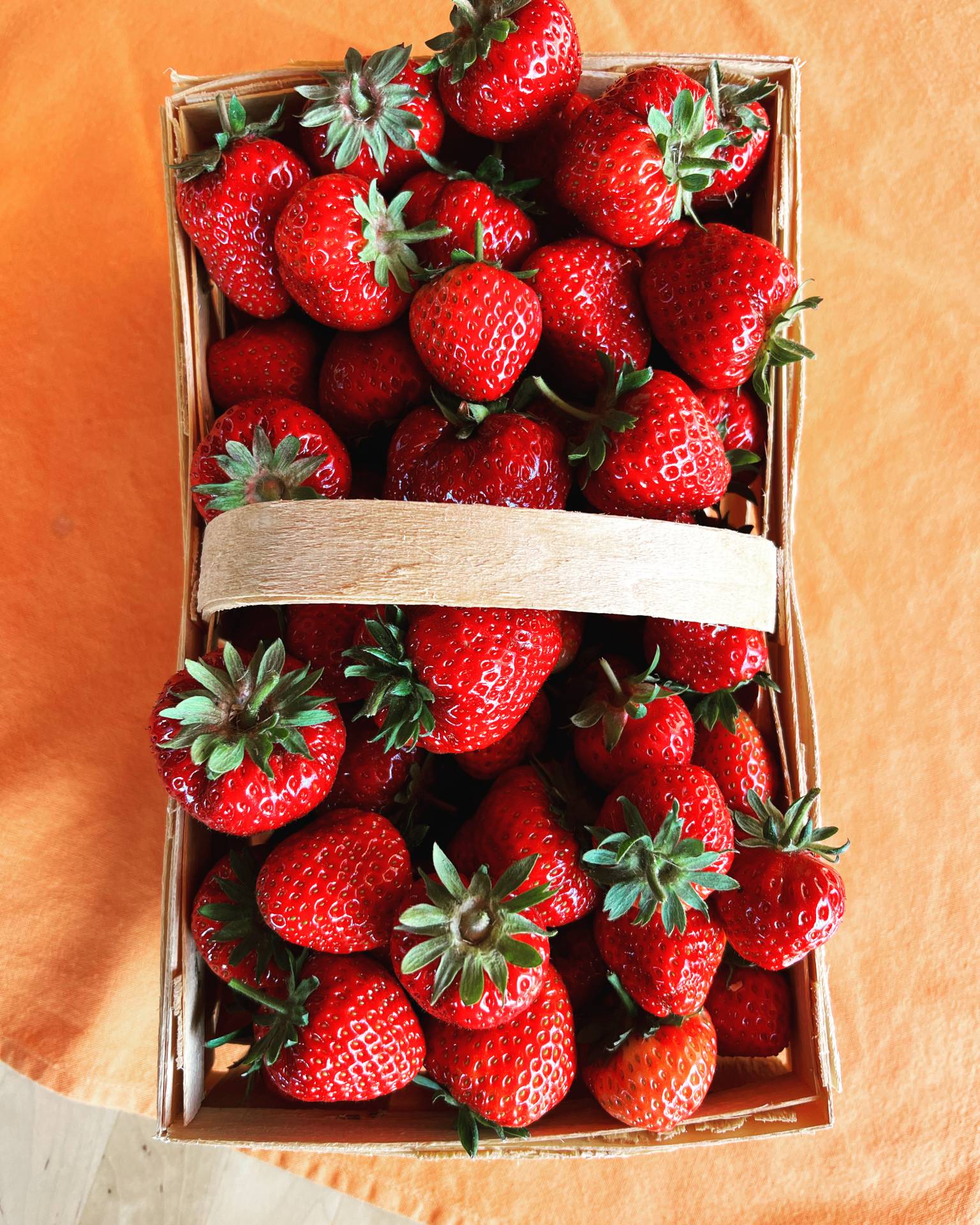 Erdbeeren